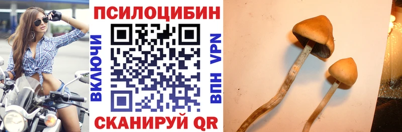 Псилоцибиновые грибы мухоморы  где найти   это какой сайт  Рузаевка 